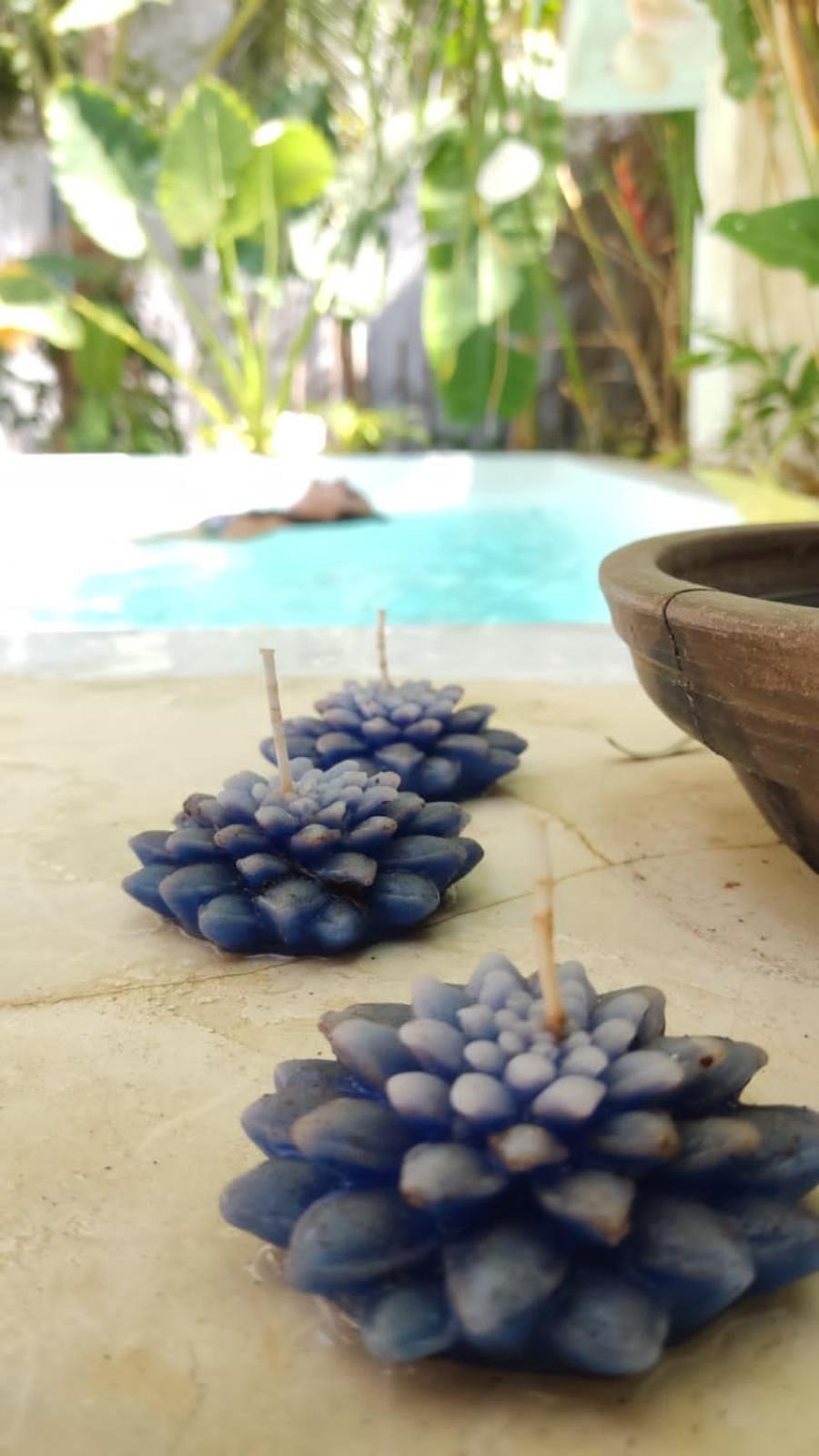 Chale Da Sereia Apart-Hotel Com Cozina Piscina Oasis No Centro De Jericoacoara Exteriér fotografie